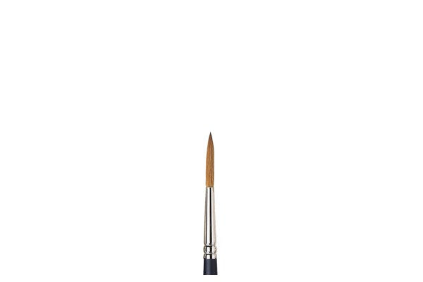 ARTISTS WATERCOLOUR BRUSH Sable Rigger 6
